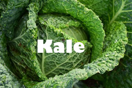 kale superalimento superplanta